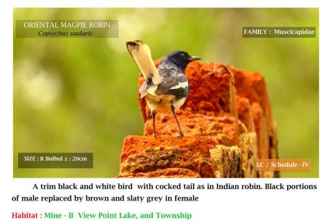 Photo Credits: NLCIL