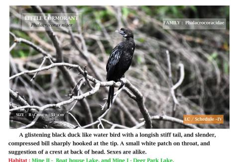 Photo Credits: NLCIL