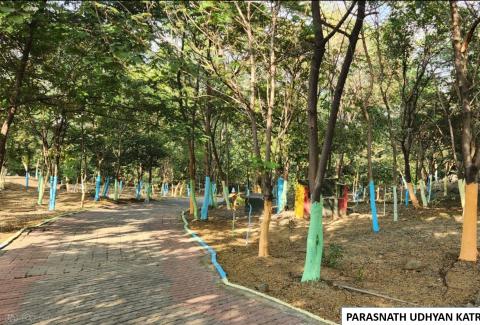 Parasnath Udyan, BCCL